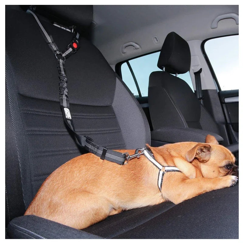 Solid Anti-shock Two-in-one Dog Harness Leash Pet Car Seat Belt with Clip Backseat Safety Belt  Kitten Collar Pet Accessories