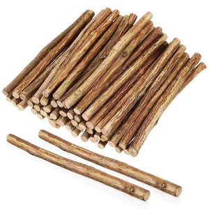 50 Pcs DIY Wooden Stick Natural Sticks Bulk Stickers Mini Long Branches for Crafts Log Decorations Child House Accessories Home