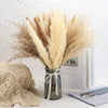 60PCS Dry Flower For Decoration Pampas Grass Boho Home Decor Country Wedding Accessories Deco Dried Flowers Dekoration Pampa