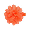 20pcs/lot 2" Chiffon Flower Newborn Infant Kids Hair Clips Children Girls Hairpins In Pairs Headwear Accessories Gift Sets