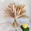 Fluffy Pampas Grass Bouquet Boho Garden Home Decor Natural Real Dried Flowers Nordic Wedding Decoration Party Accessory Props