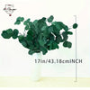 100g Eucalyptus Stems Naturel Apple Leaf Green Plants Home Table Decor Accessories Wedding Celebration Vase Decoration