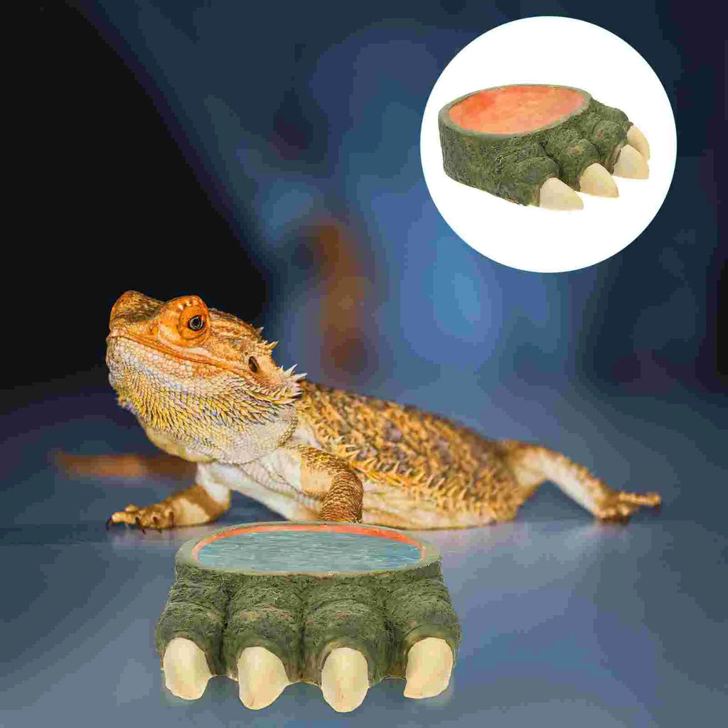 Pet Food Storage Basin Water Bowl Animal Lizards Reptile Holder Dish Resin Tank Accessories