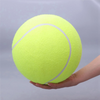 2X Pet Bite Toy 24CM Giant Tennis Ball for Dogs Chew Toy Inflatable Tennis Ball Signature Pet Toy Ball Supplies