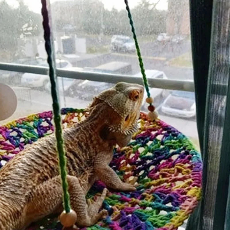 Crawling Pet Supplies Lizard Hammock Cotton Nest Chameleon Hamster Dragon Cat Squirrel Snake Parrot Swing Toy Lizard Accessories