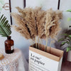 30PCS Natural Fluffy Pampas Dried Flowers Table Decor Accessories Wedding Arrangement Boho Home Decor Bouquet Artificial Flowers