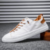 Ice Silk Cloth Men's Canvas Shoes Top Quality Sneakers Male Trend Small White Shoes for Men Board Casual Shoe Tenis Sneakers Men