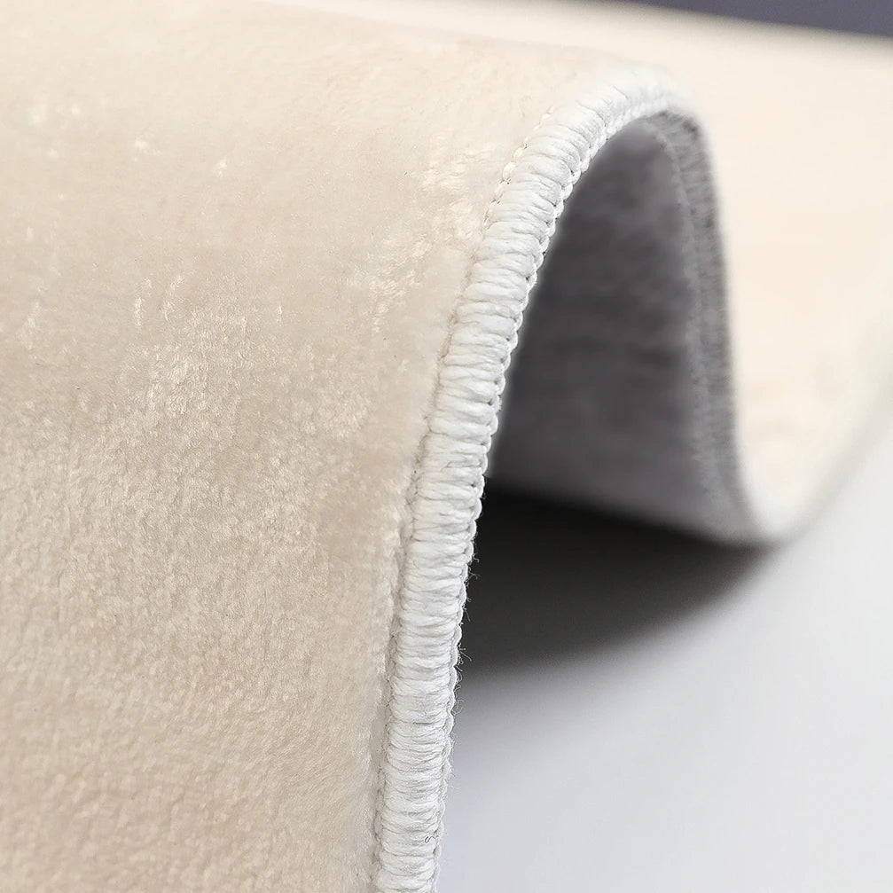 Minimalist Living Room Decoration Large Area Carpet Modern Rugs for Bedroom Thickened Soft Plush Carpets Lounge Rug Non-slip Mat