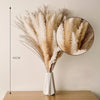 60PCS Dry Flower For Decoration Pampas Grass Boho Home Decor Country Wedding Accessories Deco Dried Flowers Dekoration Pampa