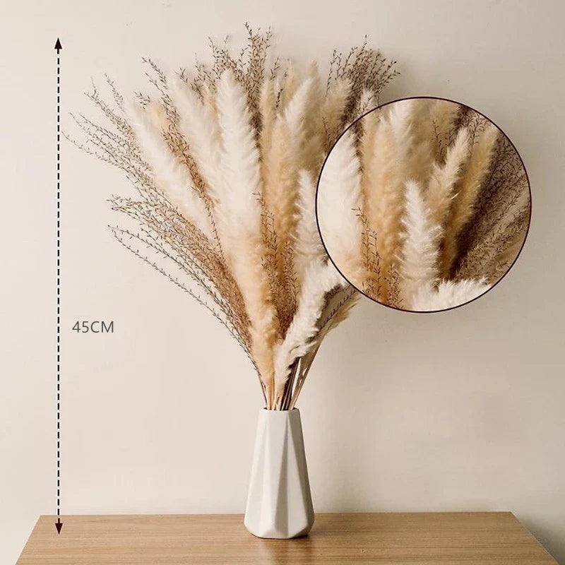 60PCS Dry Flower For Decoration Pampas Grass Boho Home Decor Country Wedding Accessories Deco Dried Flowers Dekoration Pampa