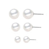 Korean Style Stud Earrings for Women Simulation Pearl Stainless Steel Hypoallergenic Jewelry Silver Color Earring Wholesale