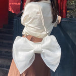 Load image into Gallery viewer, Designer Luxury Handbags For Women Bow Tie Canvas Shoulder Bag Party Casual Crossbody Bags Fashion Trend Female Clutch 2022
