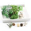 Hot 1 Box Real Dried Flower Dry Plants For Aromatherapy Candle Epoxy Resin Pendant Necklace Jewelry Making Craft DIY Accessories