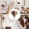 80Pcs Pampas Grass Garden Wedding Decoration Natural Fluffy Dried Flowers Home Vase Decor and Table Accessory Photography Props