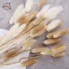 60PCS Bunny Tail Grass Dried Flowers White Pink Lagurus Bouquet Boho Home Teble Decor Accessories Photography Props Flores Secas