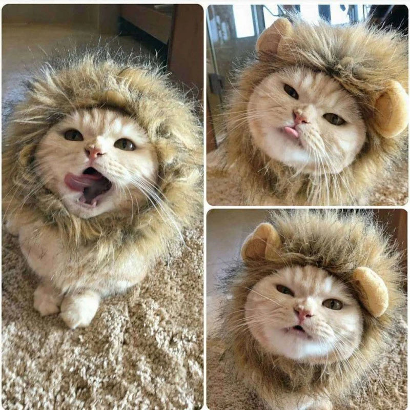 Pet Cat Decor Accessories Lion Wig Fancy Hair Cap Pet Supplies Cute Lion Headgear Cat Hat Mane Wig for Dogs and Cat Small Dog