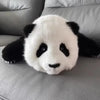 Chinese Fubao Giant Panda Huahua  Kawaii Plush Toy Birthday Gift To Friends And Classmates Home Decor Soft Plush Furry Panda Toy