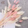 60PCS Bunny Tail Grass Dried Flowers White Pink Lagurus Bouquet Boho Home Teble Decor Accessories Photography Props Flores Secas