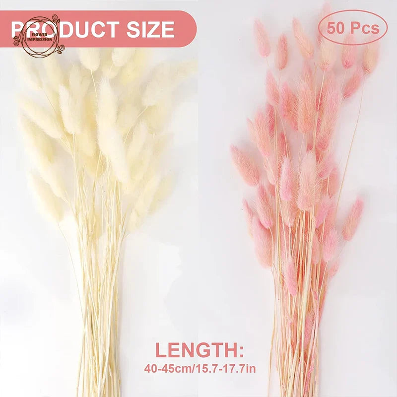 60PCS Bunny Tail Grass Dried Flowers White Pink Lagurus Bouquet Boho Home Teble Decor Accessories Photography Props Flores Secas