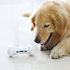 Pet Induction Interactive Toy