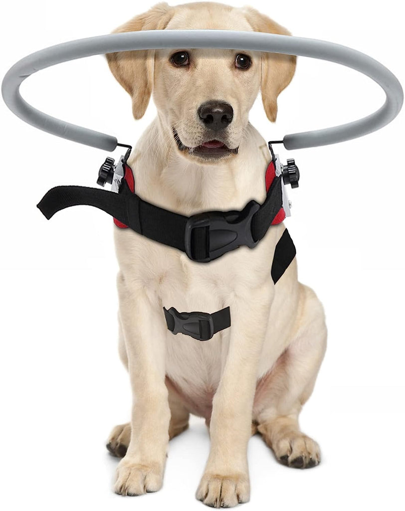 Blind Dog Harness Guiding Device Blind Dog Halo Adjustable Halo for Blind Dogs Cats to Protective & Build Confidence Collar Vest Blind Pets Accessories