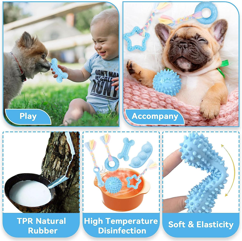 6 Pack Puppy Toys for Teething Small Dogs Cute Blue Pet Dog Chew Toys for Puppies Soft Rubber Funny Bone Ball Donut Indoor Outdoor Anxiety Relief Cleaning Teeth Interactive Doggy Toy Set
