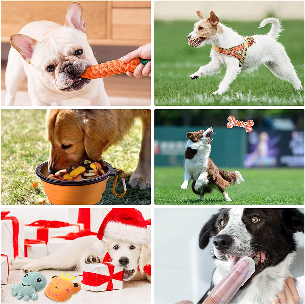 Dog Chew Toys for Puppy 30 Pack, Puppy Chew Toys for Teething, Interactive Dog Squeaky Rope Toys for Boredom and Stimulating, Pet Plush Squeaky Toys for Puppy/Small/Medium Dogs